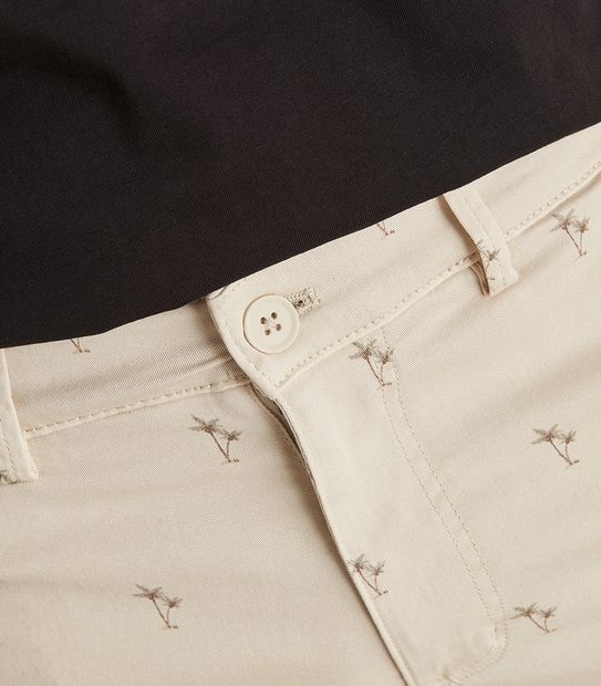 Garment Dyed Print Regular Chino Shorts