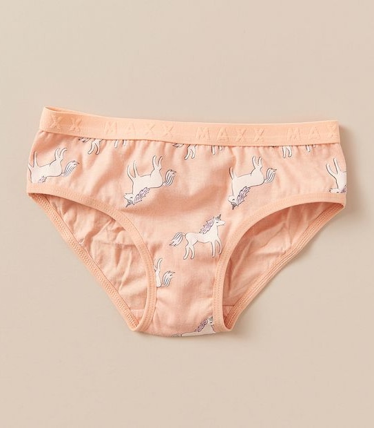 5 Pack Maxx Briefs