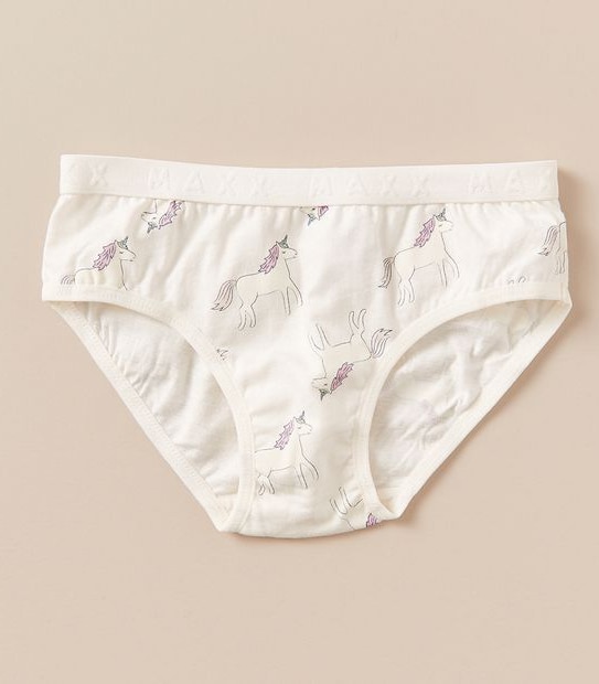 5 Pack Maxx Briefs