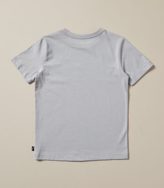 Organic Cotton 2 Pack T-Shirts
