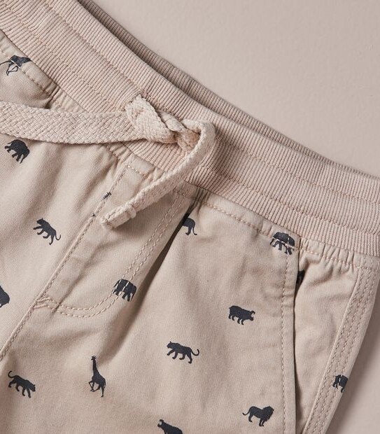 Pull On Chino Shorts