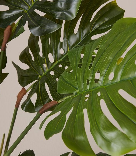 Faux Monstera Deliciosa Plant - 100cm