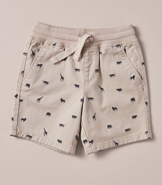 Pull On Chino Shorts 5 of 5