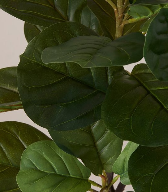 Faux Fiddle Leaf Fig - 120cm