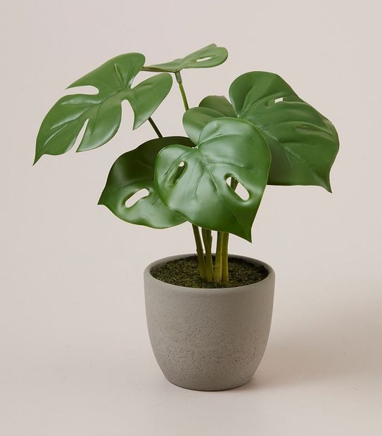Faux Monstera Deliciosa Plant in Concrete Pot
