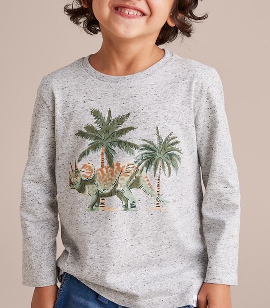 Dinosaur Speckle Top