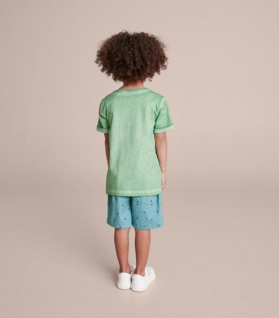 245159_09 SS TEE COLD WASH - ZEPHR GREEN