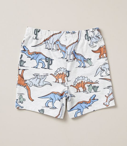 Organic Cotton Dinosaur Pyjama Set