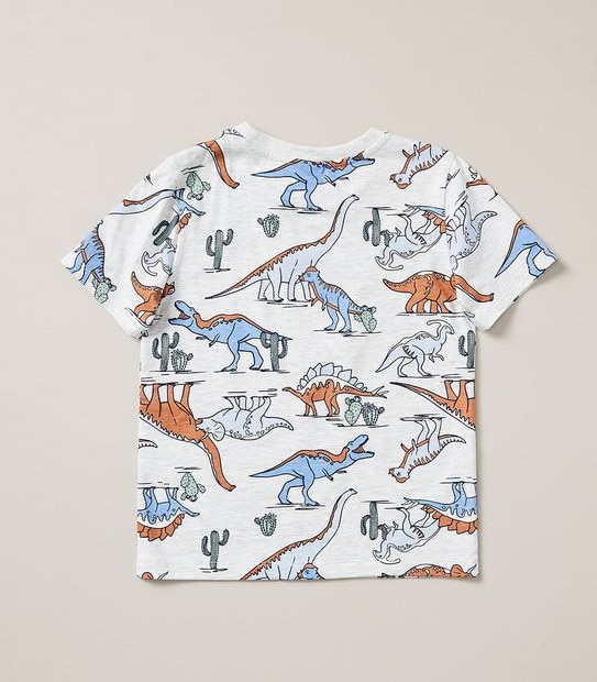 Organic Cotton Dinosaur Pyjama Set
