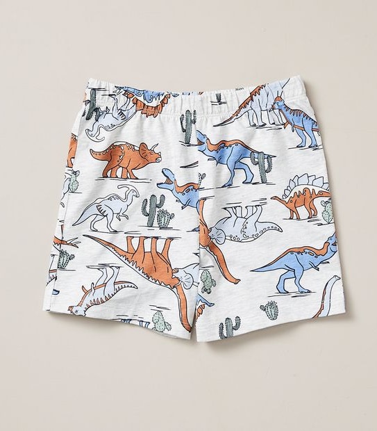 Organic Cotton Dinosaur Pyjama Set