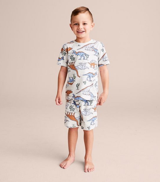 Organic Cotton Dinosaur Pyjama Set