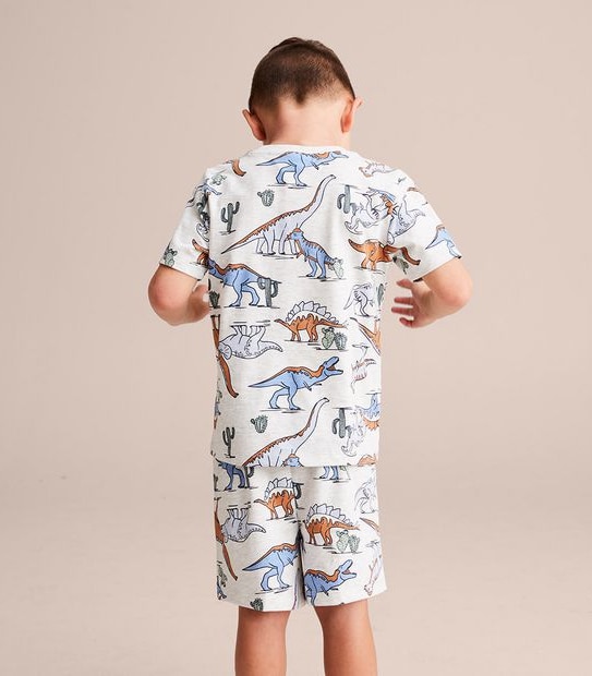 Organic Cotton Dinosaur Pyjama Set