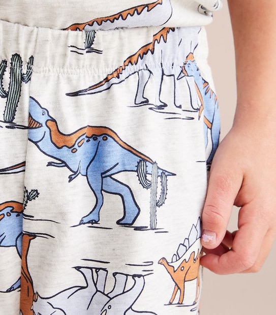 Organic Cotton Dinosaur Pyjama Set