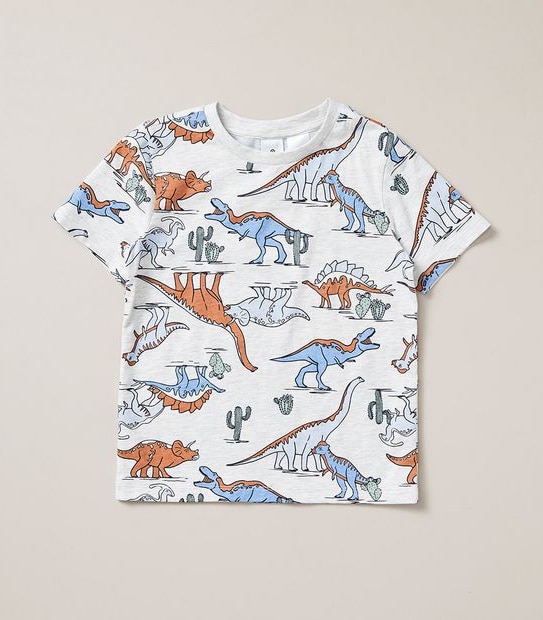 Organic Cotton Dinosaur Pyjama Set
