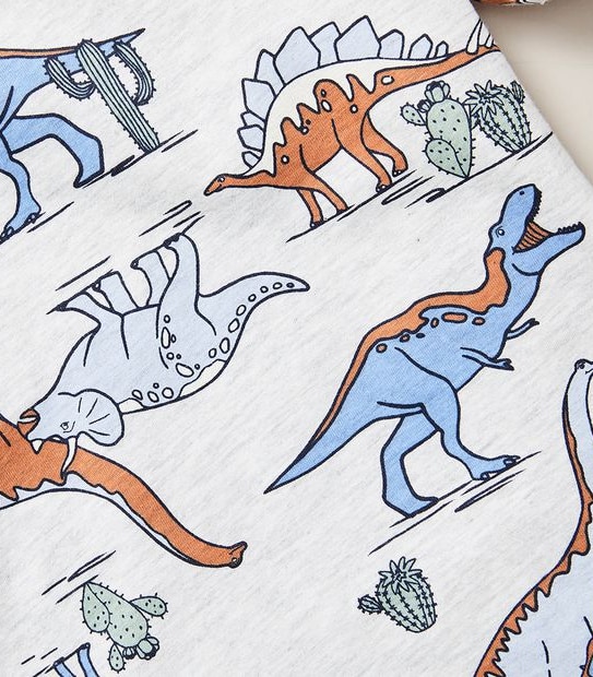 Organic Cotton Dinosaur Pyjama Set