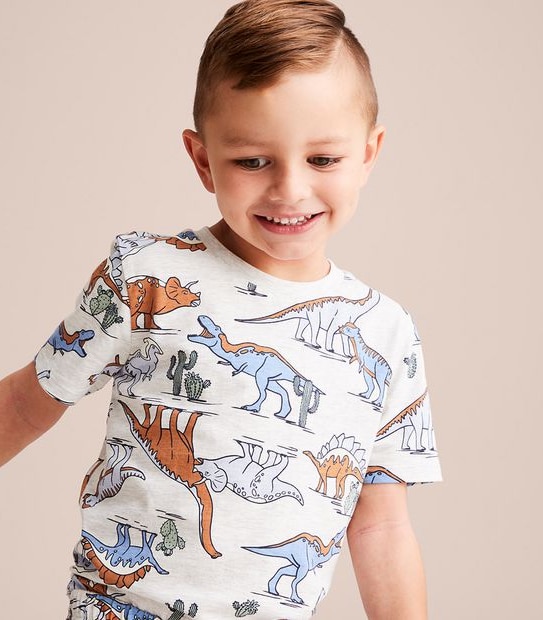 Organic Cotton Dinosaur Pyjama Set