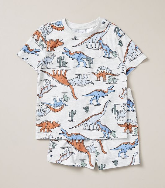 Organic Cotton Dinosaur Pyjama Set