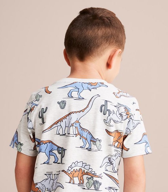 Organic Cotton Dinosaur Pyjama Set