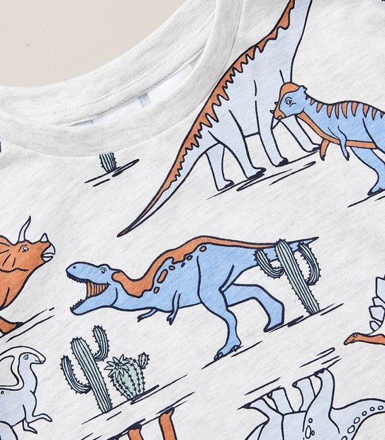 Organic Cotton Dinosaur Pyjama Set