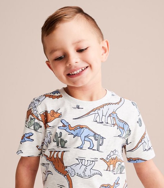 Organic Cotton Dinosaur Pyjama Set