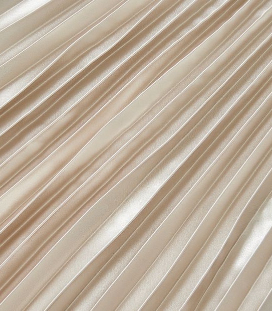 Metallic Pleat Skirt