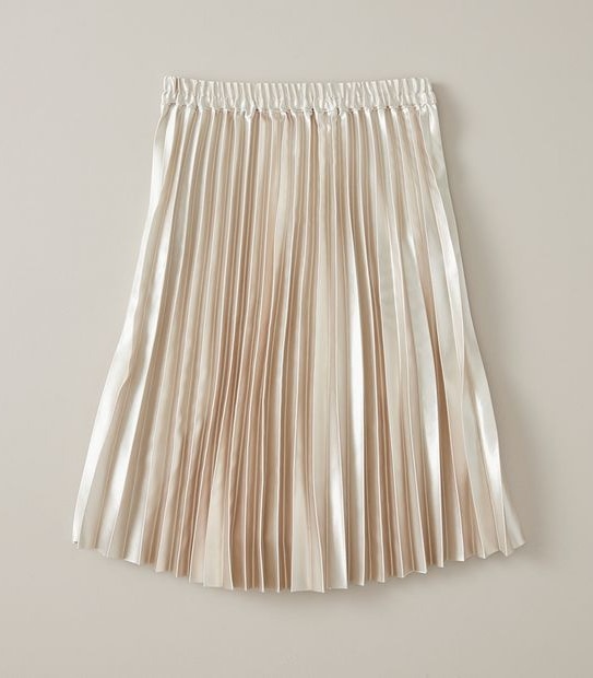 Metallic Pleat Skirt