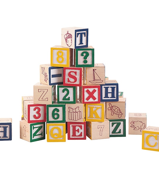 Young Ones My First Wooden Block Set