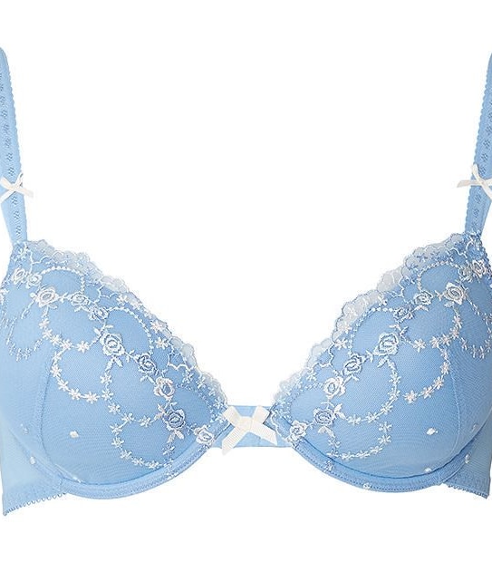 Lily Loves 2 Pack Embroidered Plunge Bras