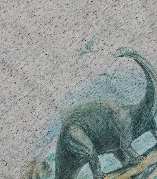 Dinosaur T-shirt