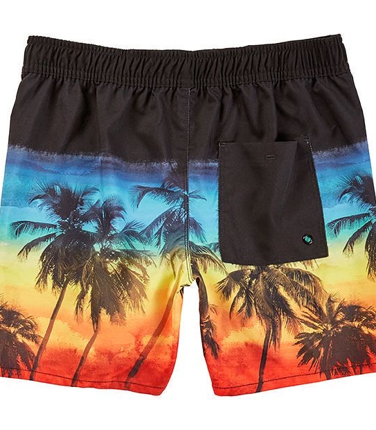 Palms Photo Print Boardshort