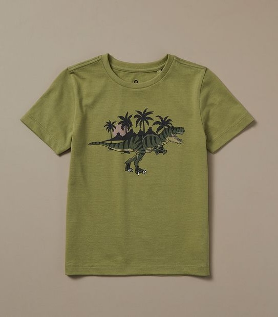 Dinsoaur T-shirt