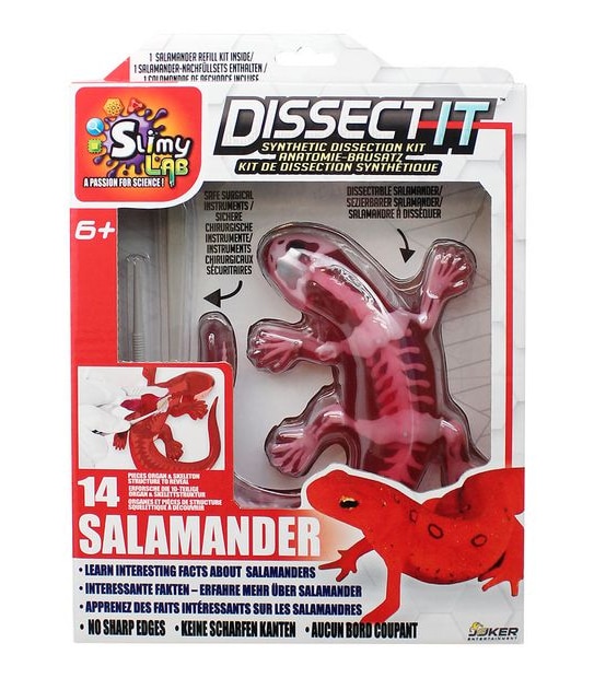 Slimy Dissect It Assorted