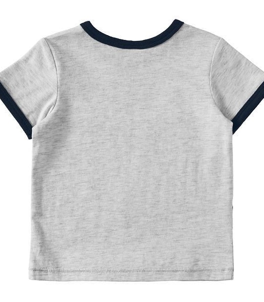 Baby Zebra Flock Print T-Shirt