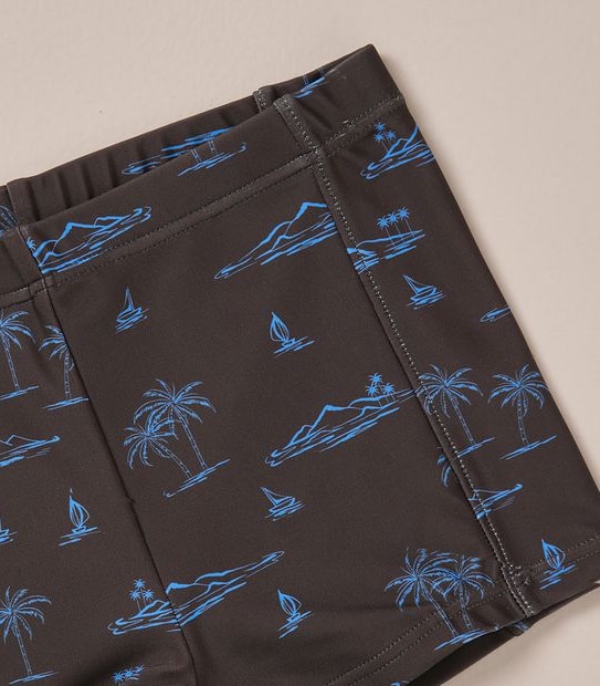 Swim Print Trunk