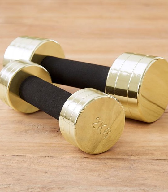 Fila Metallic Dumbbell 2kg