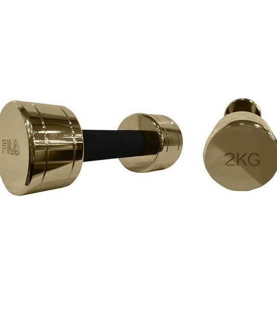 Fila Metallic Dumbbell 2kg