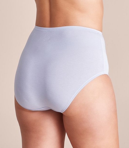 2 Pack Bamboo Full Briefs; Style: LFB12988