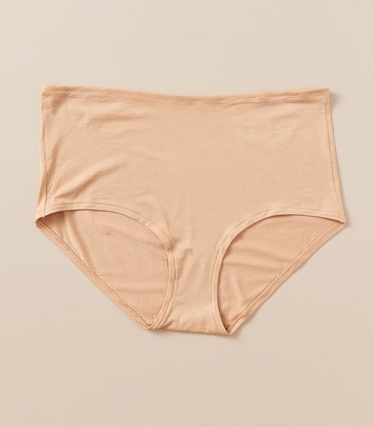 Fuller Figure Supima Cotton Full Briefs