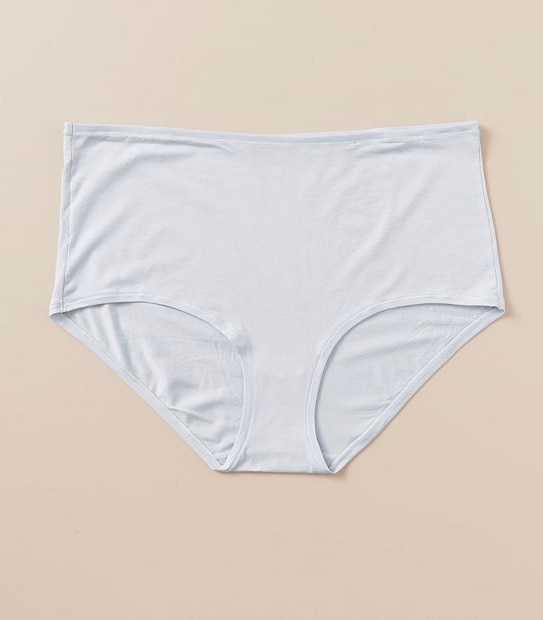 Fuller Figure Supima Cotton Full Briefs