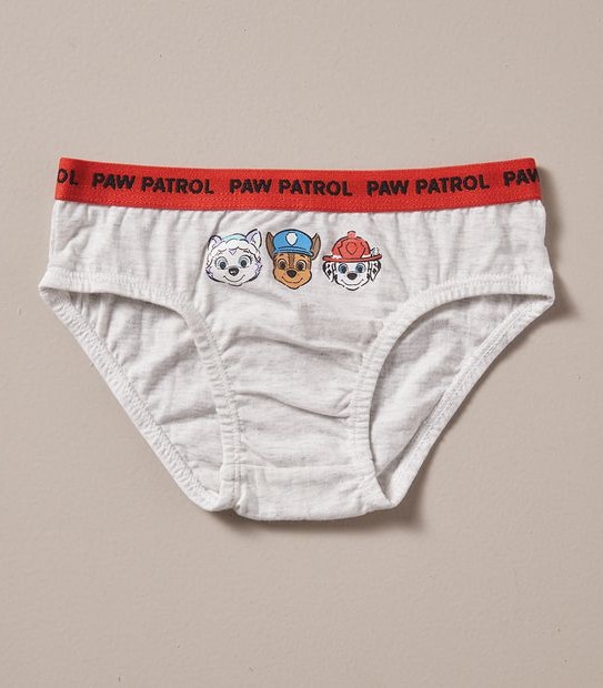 5 Pack Paw Patrol Briefs Gift Set