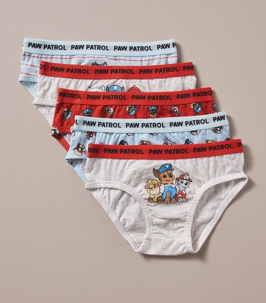 5 Pack Paw Patrol Briefs Gift Set