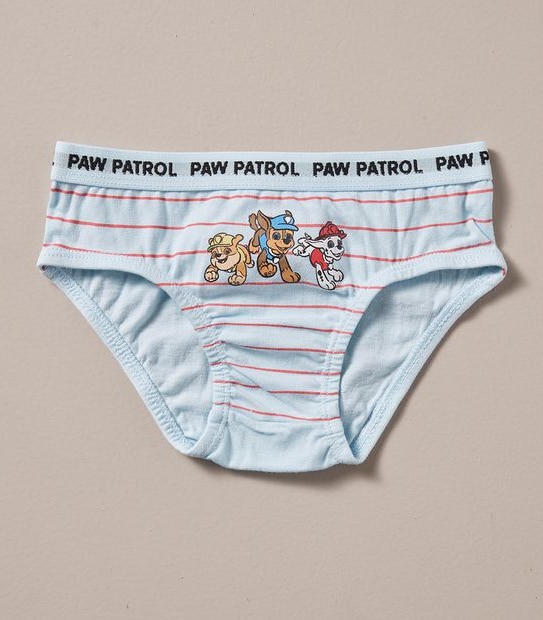 5 Pack Paw Patrol Briefs Gift Set