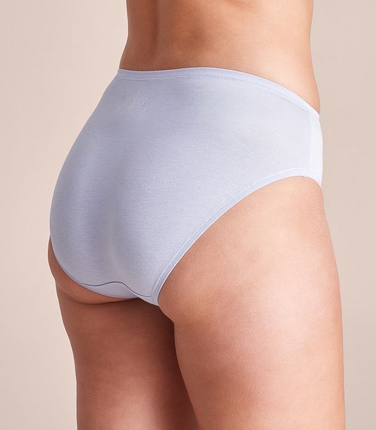 2 Pack Bamboo High Cut Briefs; Style: LHF12987