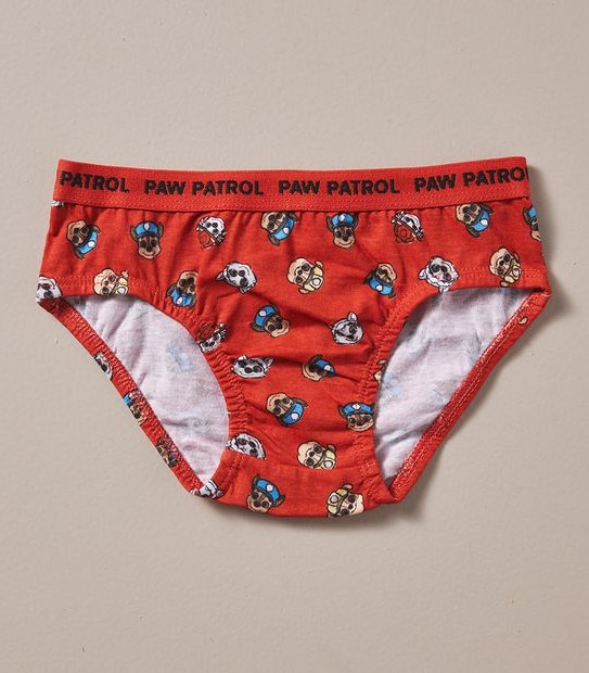 5 Pack Paw Patrol Briefs Gift Set