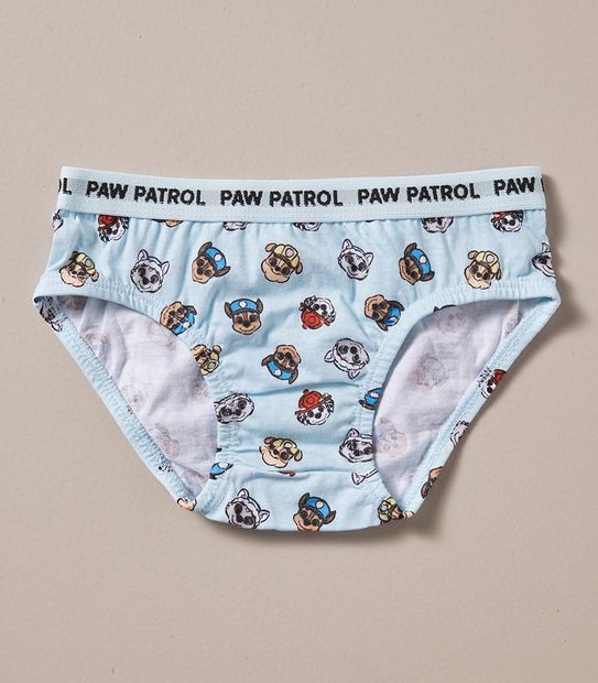 5 Pack Paw Patrol Briefs Gift Set