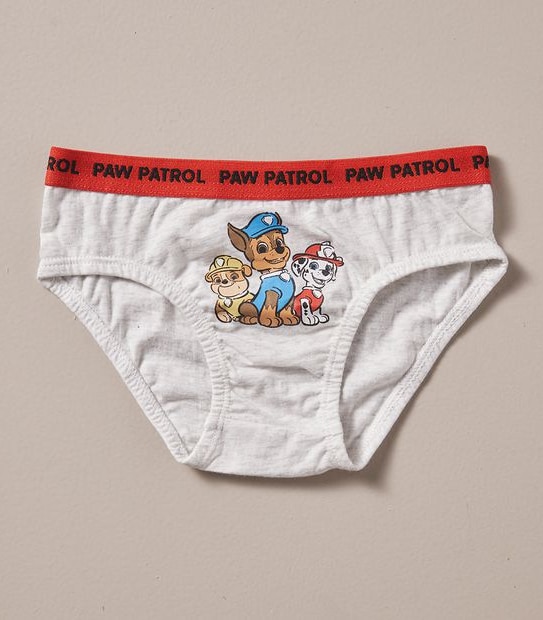 5 Pack Paw Patrol Briefs Gift Set