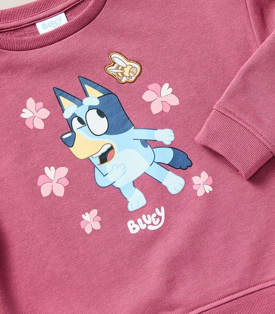 Bluey Jumper