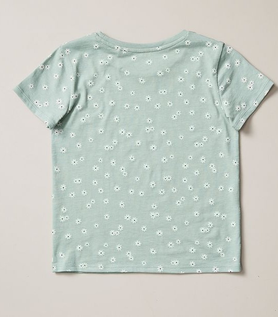 Organic Cotton T-shirt