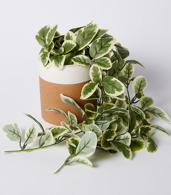 Faux Trailing Plant in Pot
