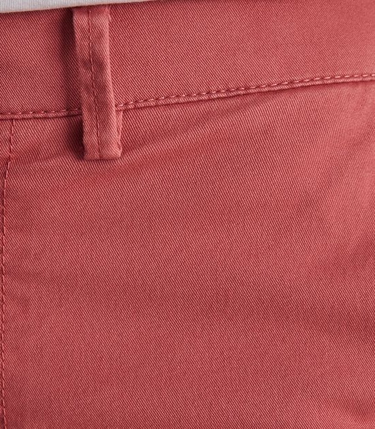 Regular Chino Shorts